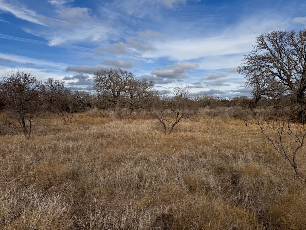0 Langes Mill Road Doss, TX 78618 - Photo 3 of 15 a view of a city with lush green forest