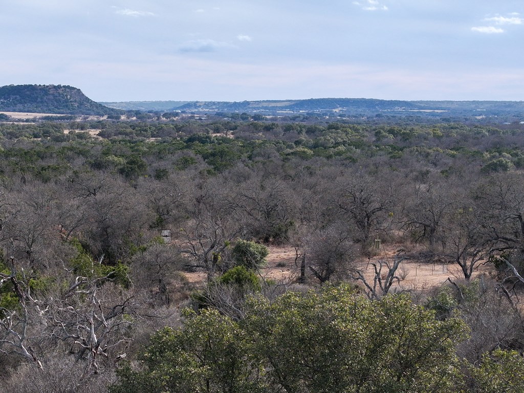 0 Langes Mill Road Doss, TX 78618 - Photo 4 of 15 a view of a city with lush green forest