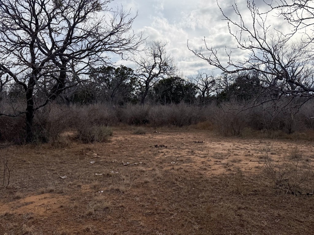 0 Langes Mill Road Doss, TX 78618 - Photo 7 of 15 a view of a lake view
