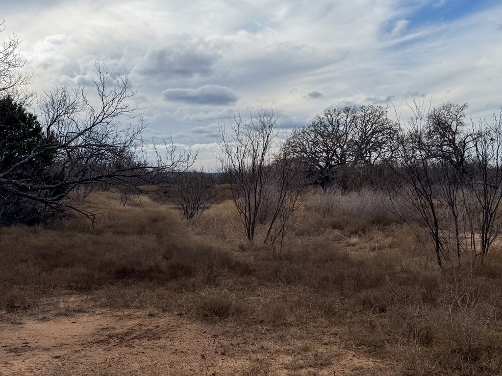 0 Langes Mill Road Doss, TX 78618 - Photo 8 of 15 a view of a yard