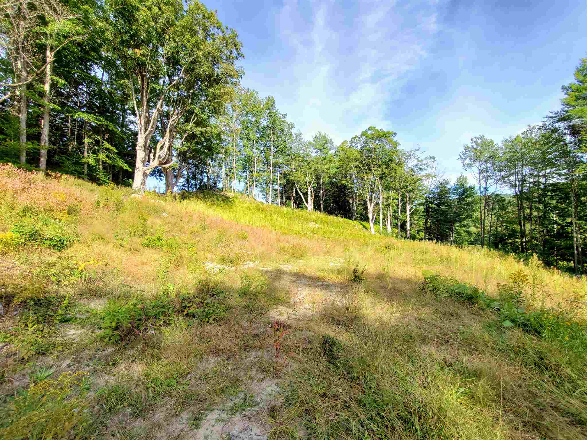 399 Bills Road Wardsboro, VT 05355 - Photo 4 of 9 Gallery Image 4
