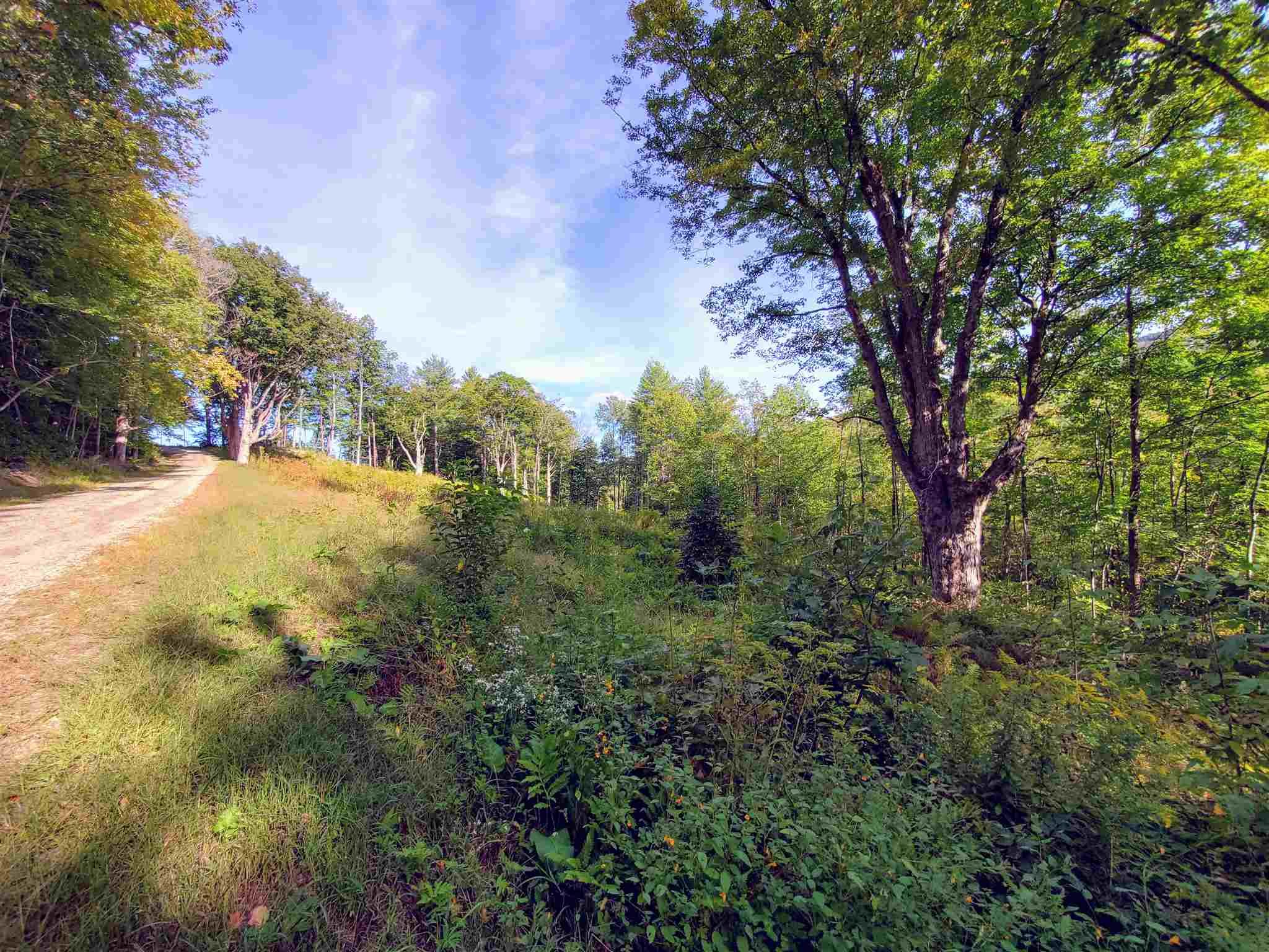 399 Bills Road Wardsboro, VT 05355 - Photo 6 of 9 Gallery Image 6