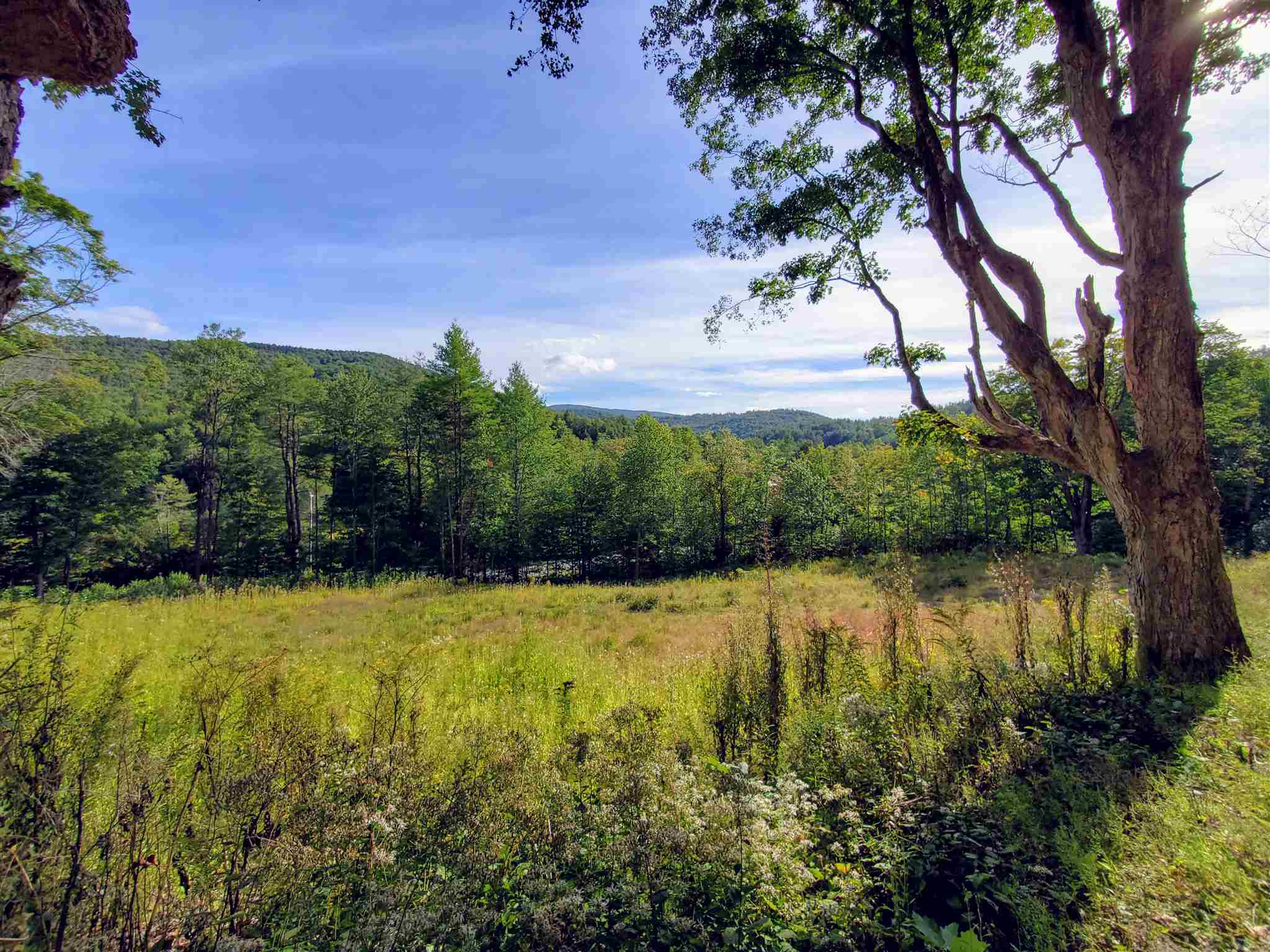 399 Bills Road Wardsboro, VT 05355 - Photo 9 of 9 Gallery Image 9