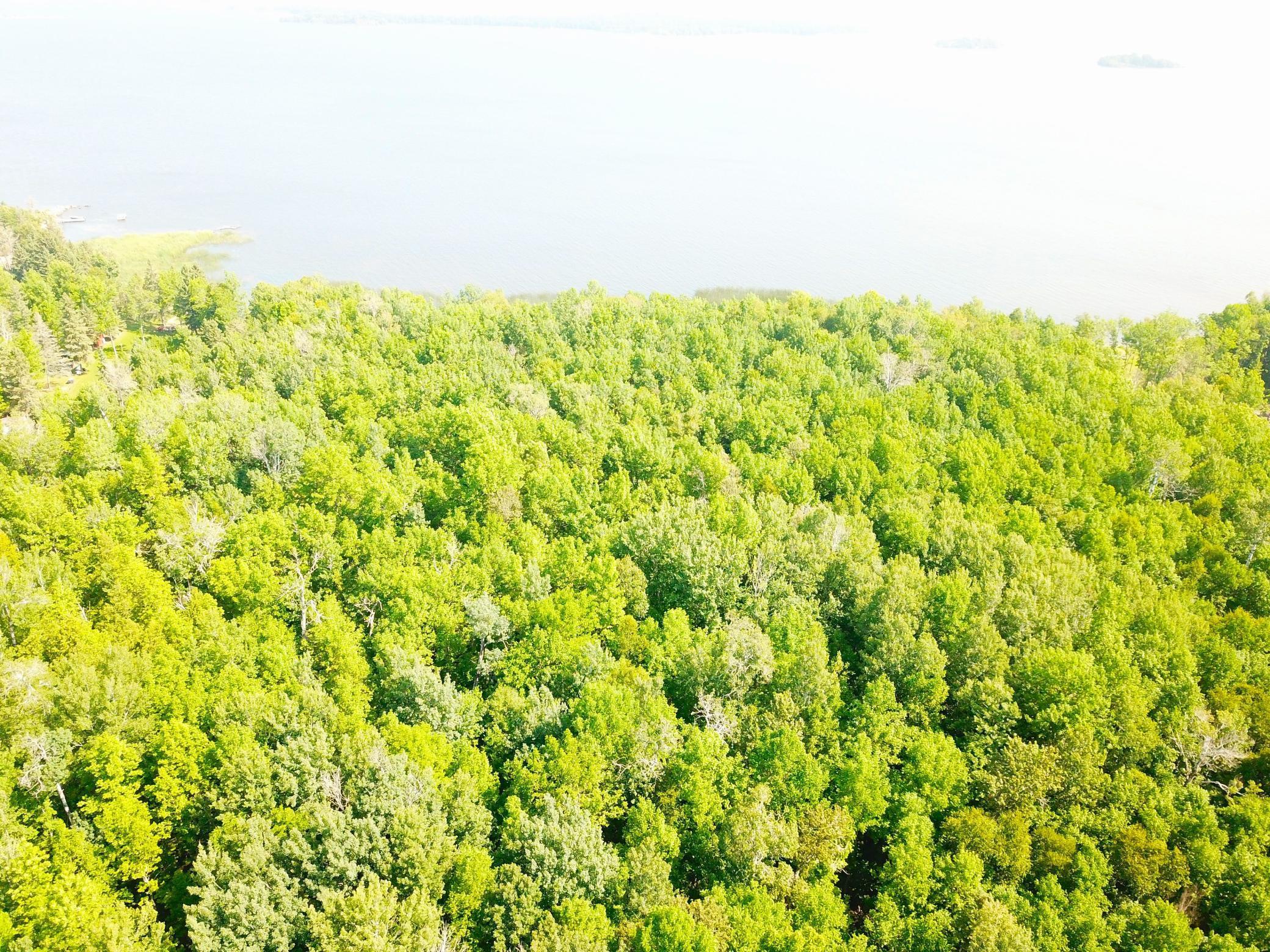 16779 Angle Shoreline Angle Inlet, MN 56711 - Photo 41 of 53