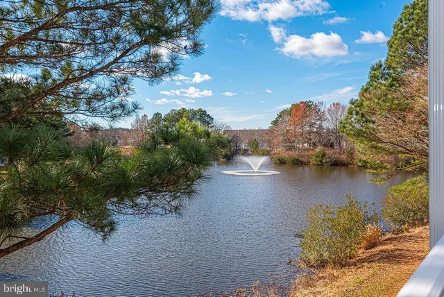 a view of a lake from a yard
