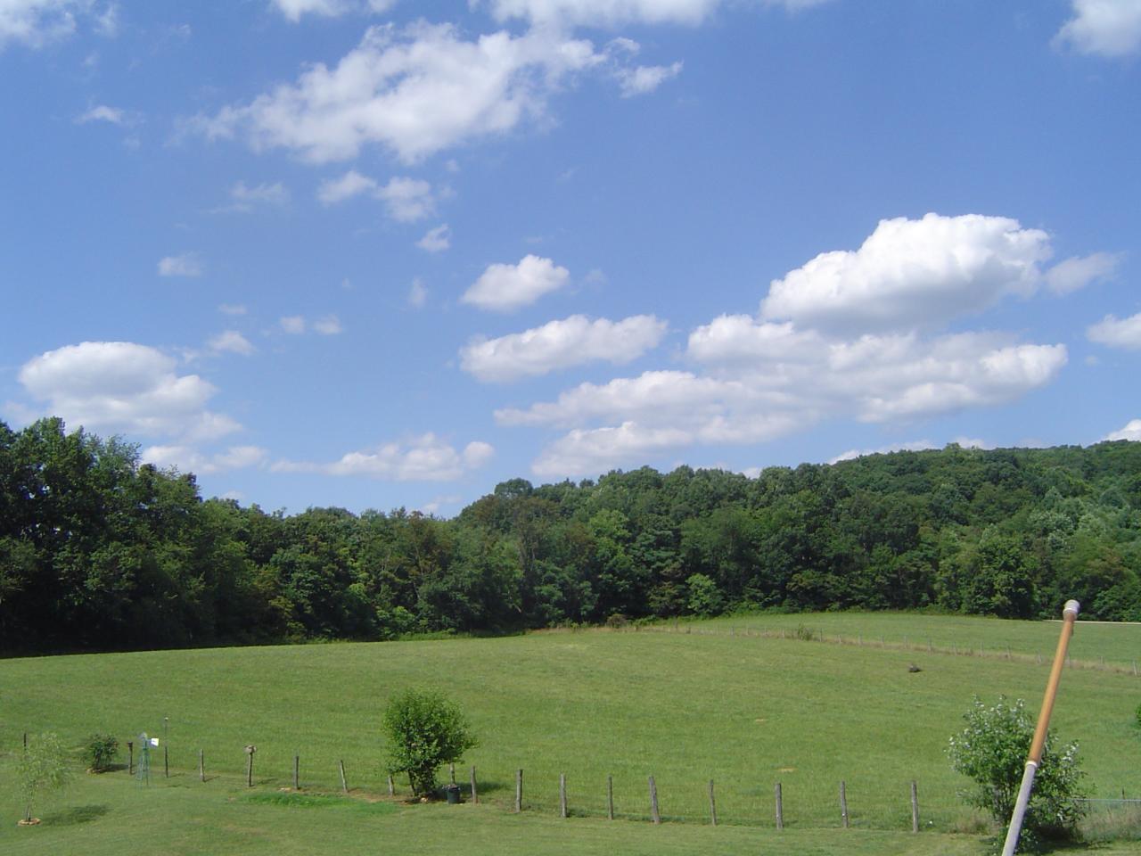 2392 Feather Road Vinton, VA 24179 - Photo 17 of 28 17