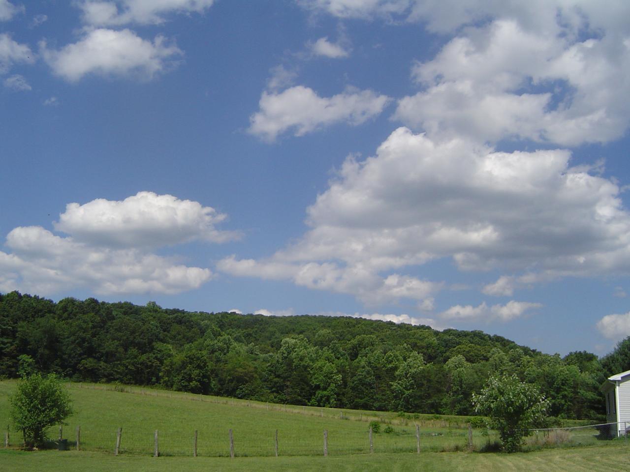 2392 Feather Road Vinton, VA 24179 - Photo 19 of 28 19