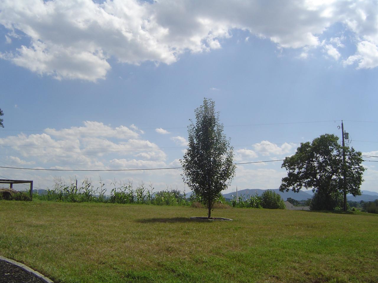 2392 Feather Road Vinton, VA 24179 - Photo 20 of 28 20