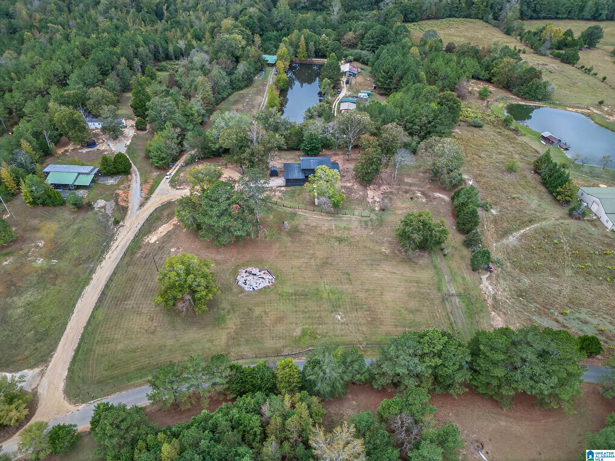 743 Dove Welch Road Wellington, AL 36279 - Photo 8 of 46