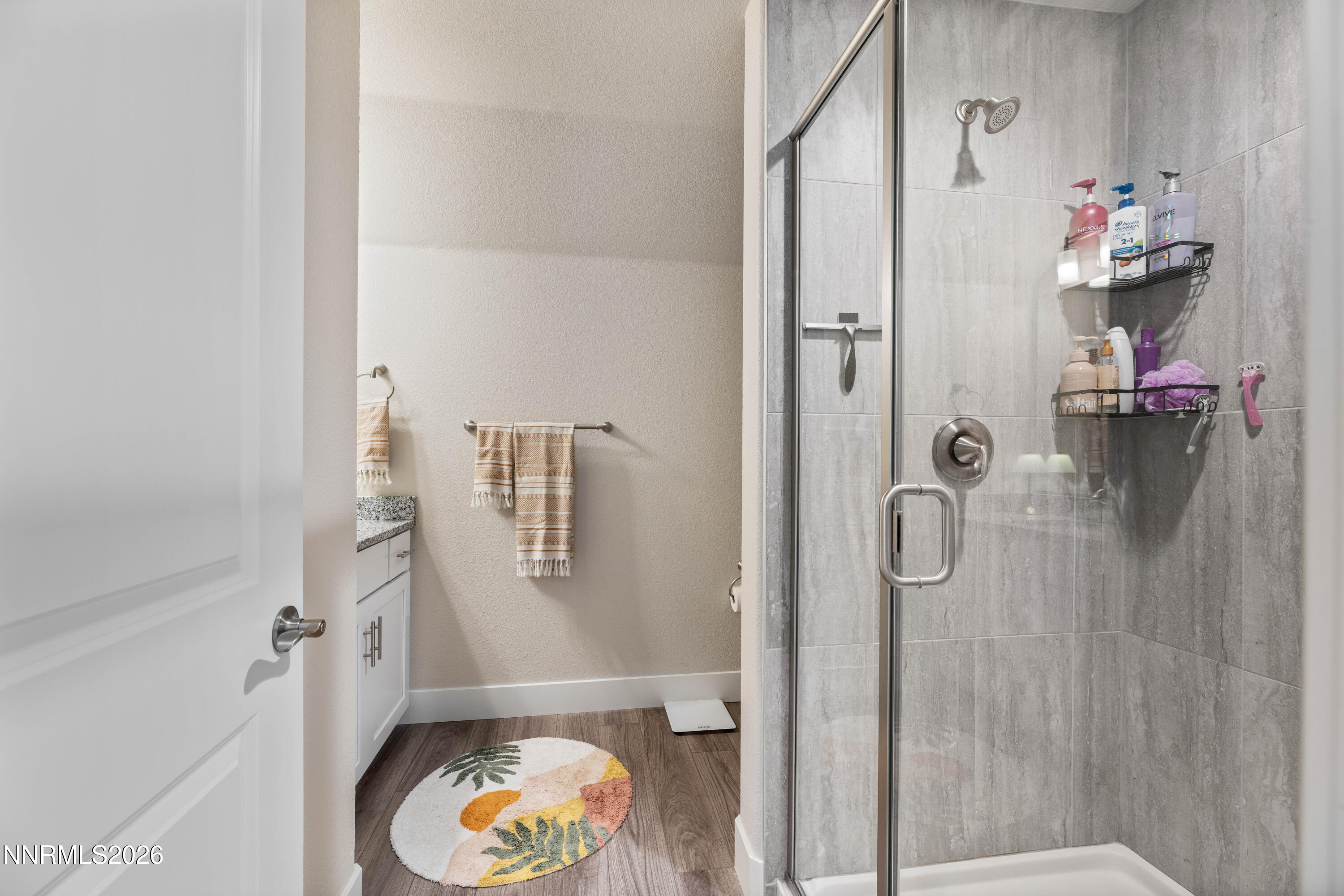 313 San Roma Drive Dayton, NV 89403 - Photo 28 of 49 29-print-DSC_6974