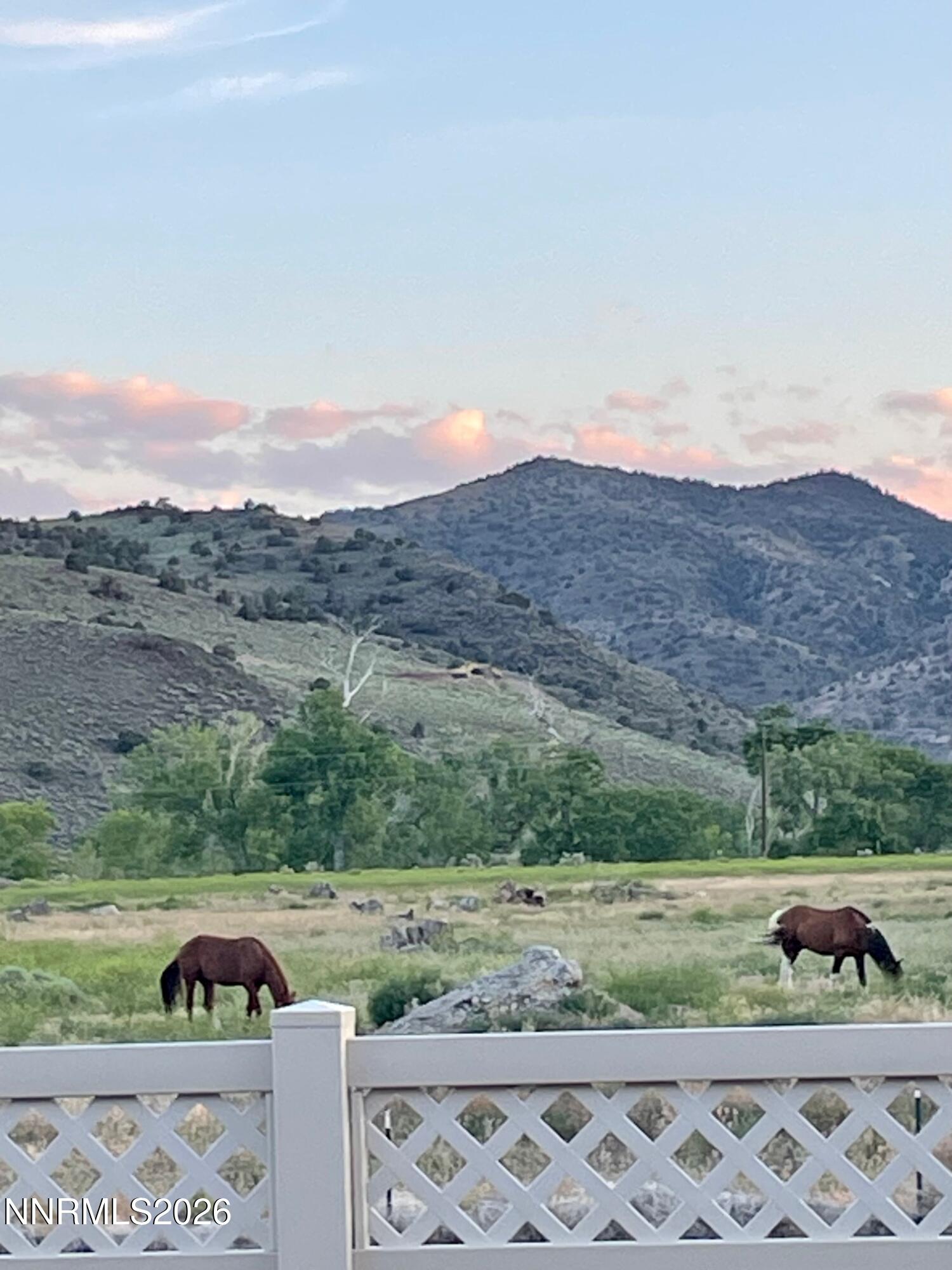 313 San Roma Drive Dayton, NV 89403 - Photo 33 of 49 image11