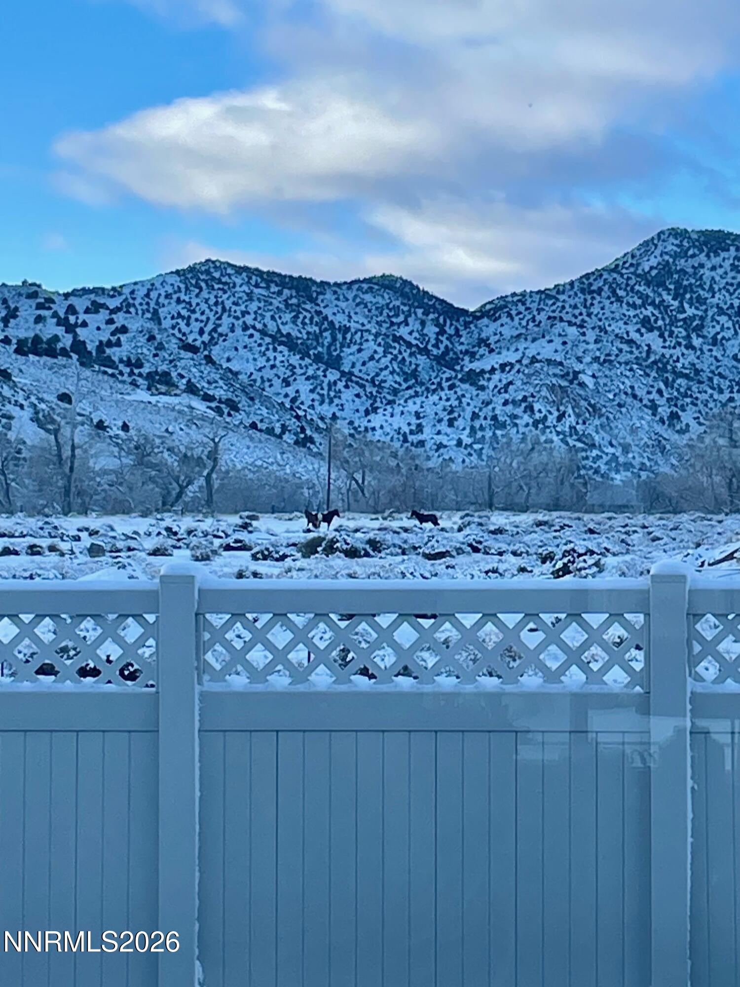 313 San Roma Drive Dayton, NV 89403 - Photo 35 of 49 image10