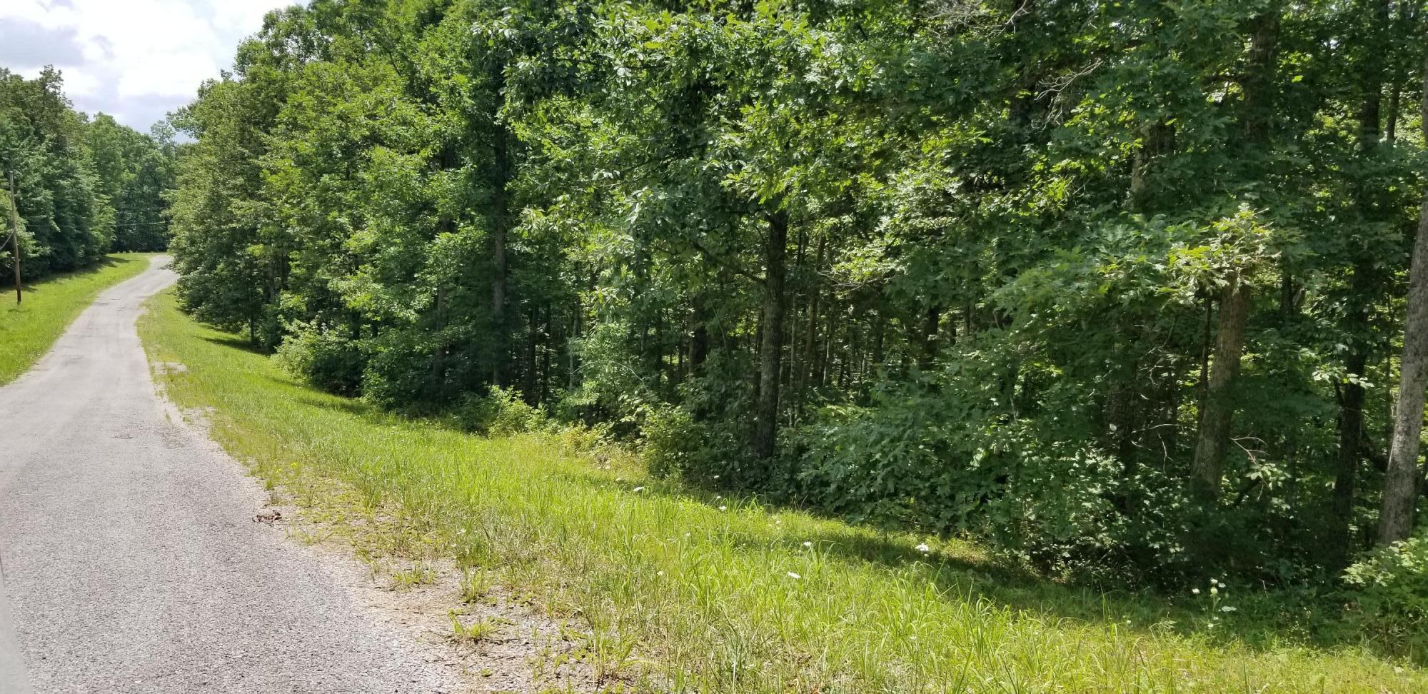 3.1-acres Bent Tree Road Monterey, TN 38574 - Photo 2 of 5 20190710_125457
