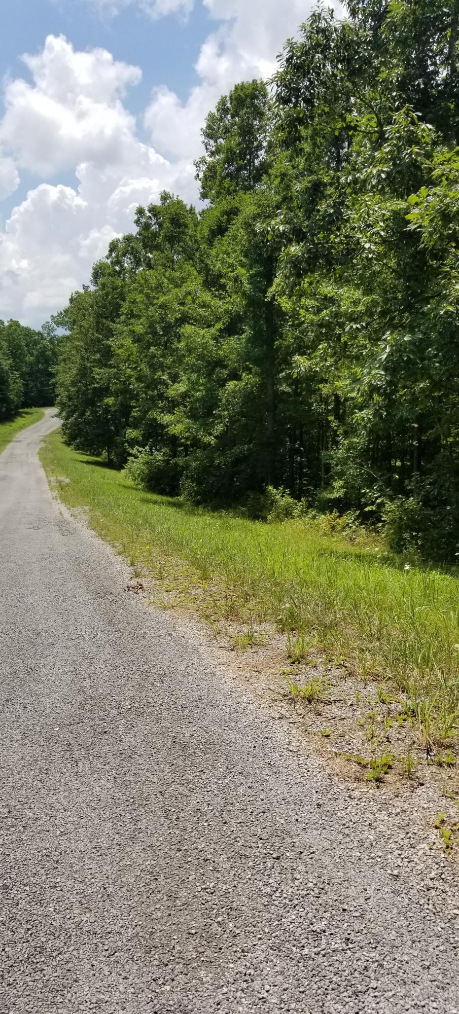 3.1-acres Bent Tree Road Monterey, TN 38574 - Photo 4 of 5 20190711_091610