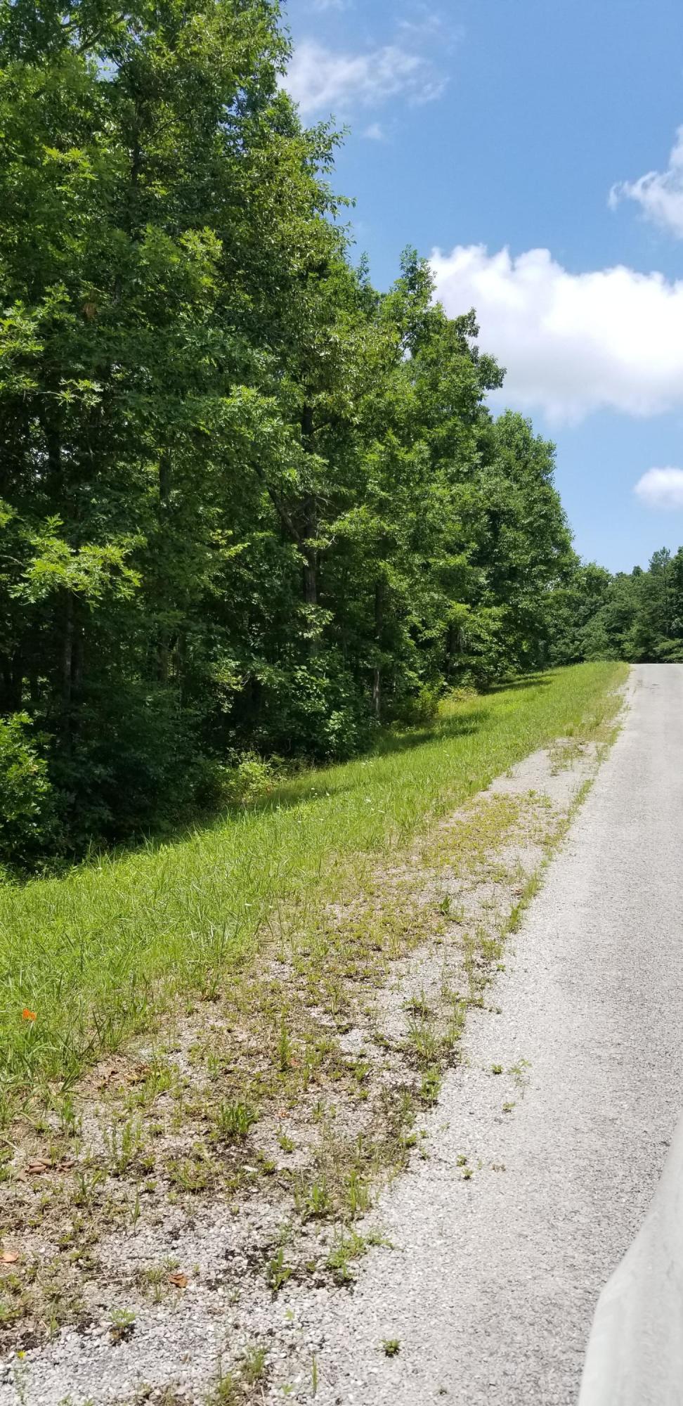 3.1-acres Bent Tree Road Monterey, TN 38574 - Photo 5 of 5 20190710_125421