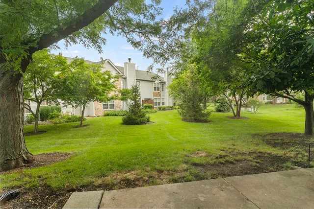 a view of a park with large trees