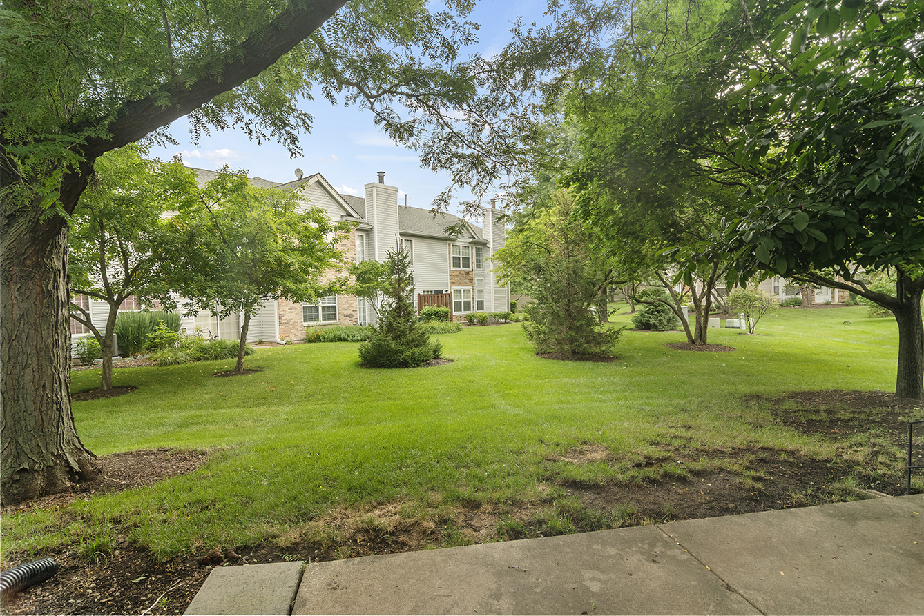 2833 Belle Lane, Unit 2833 Schaumburg, IL 60193 - Photo 21 of 23 a view of a park with large trees