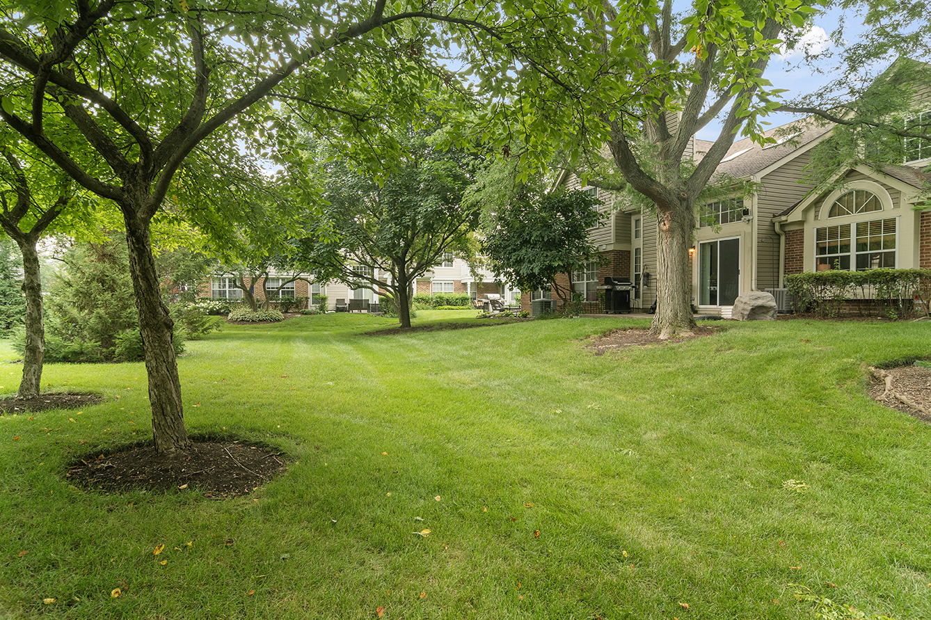 2833 Belle Lane, Unit 2833 Schaumburg, IL 60193 - Photo 22 of 23 a tall tree in middle of green field