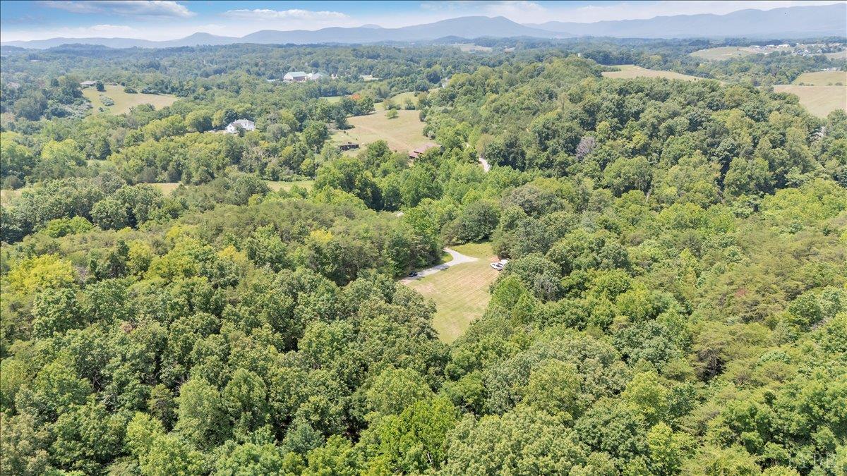 615 Muse Road Fincastle, VA 24090 - Photo 70 of 78 Gallery Image 70