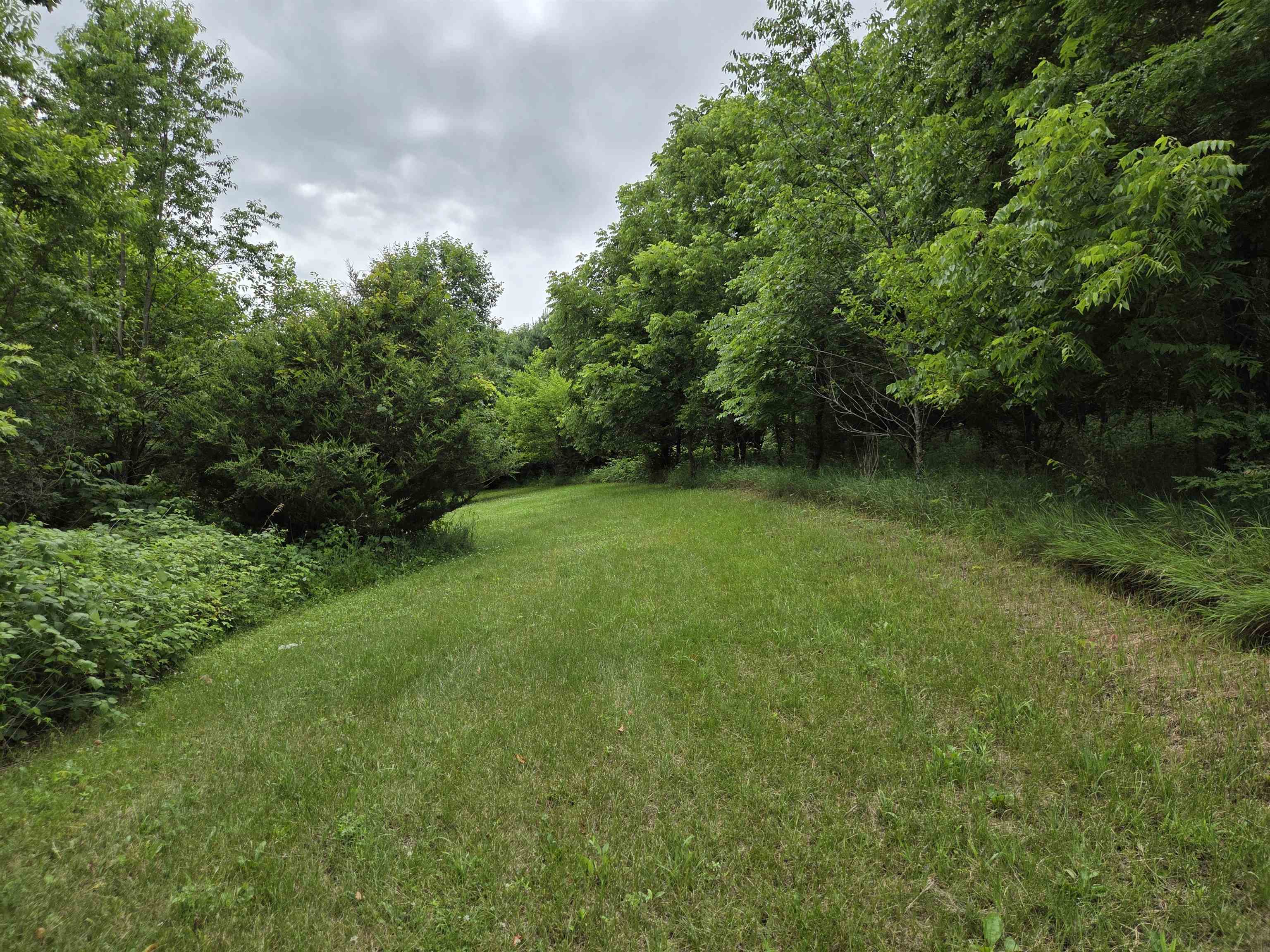 32747 State Highway Muscoda, WI 53573 - Photo 63 of 83