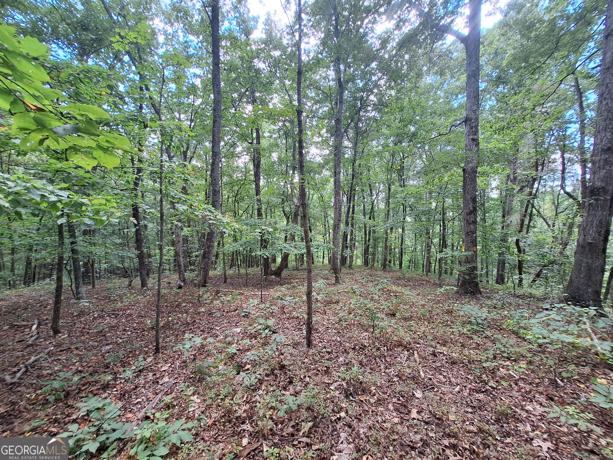 0 Highland Tree Court Ranger, GA 30734 - Photo 8 of 16 Gallery Image 8