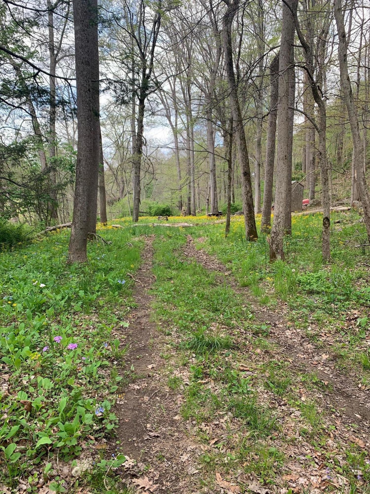 Lot 13 Fort Springs Road Sinks Grove, WV 24976 - Photo 20 of 21 Gallery Image 20