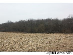 7549 Sherman Road Riverton, IL 62561 - Photo 3 of 4 Gallery Image 3
