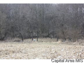 7549 Sherman Road Riverton, IL 62561 - Photo 4 of 4 Gallery Image 4