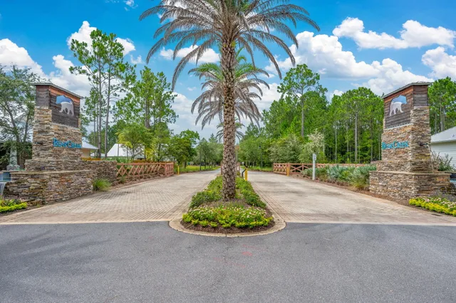 a palm tree sitting in the middle of a yard