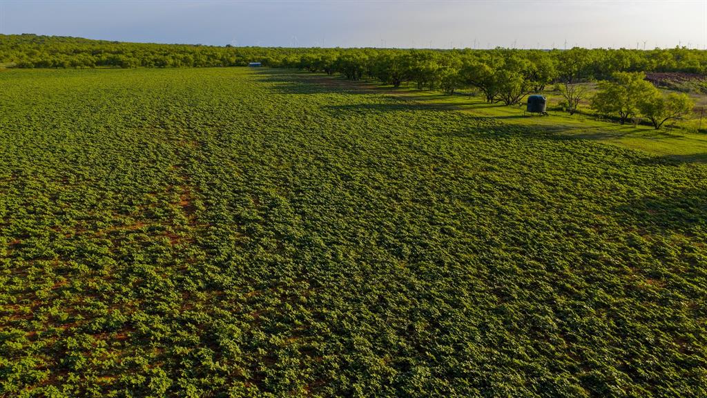 10000 Fm 209 Graham, TX 76450 - Photo 4 of 40