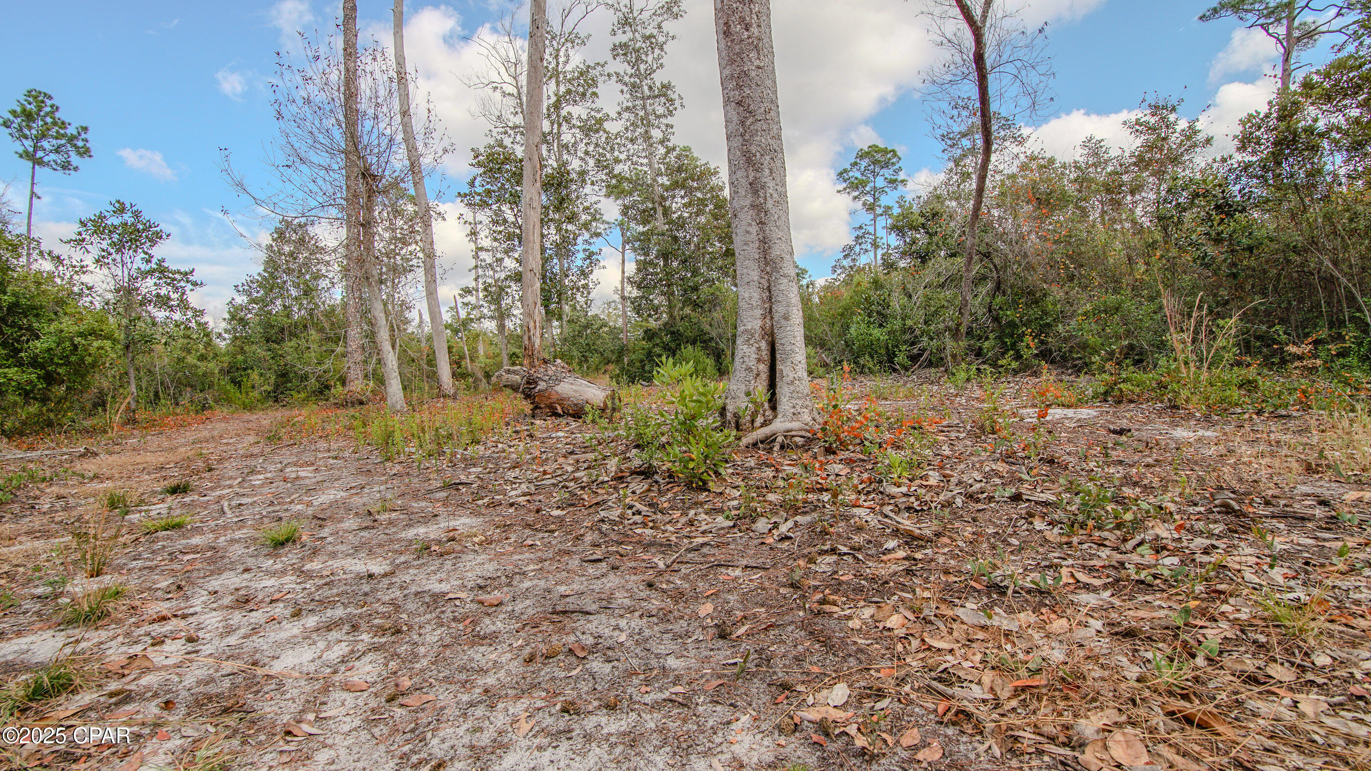 12299 Nona Wood Road Fountain, FL 32438 - Photo 11 of 21