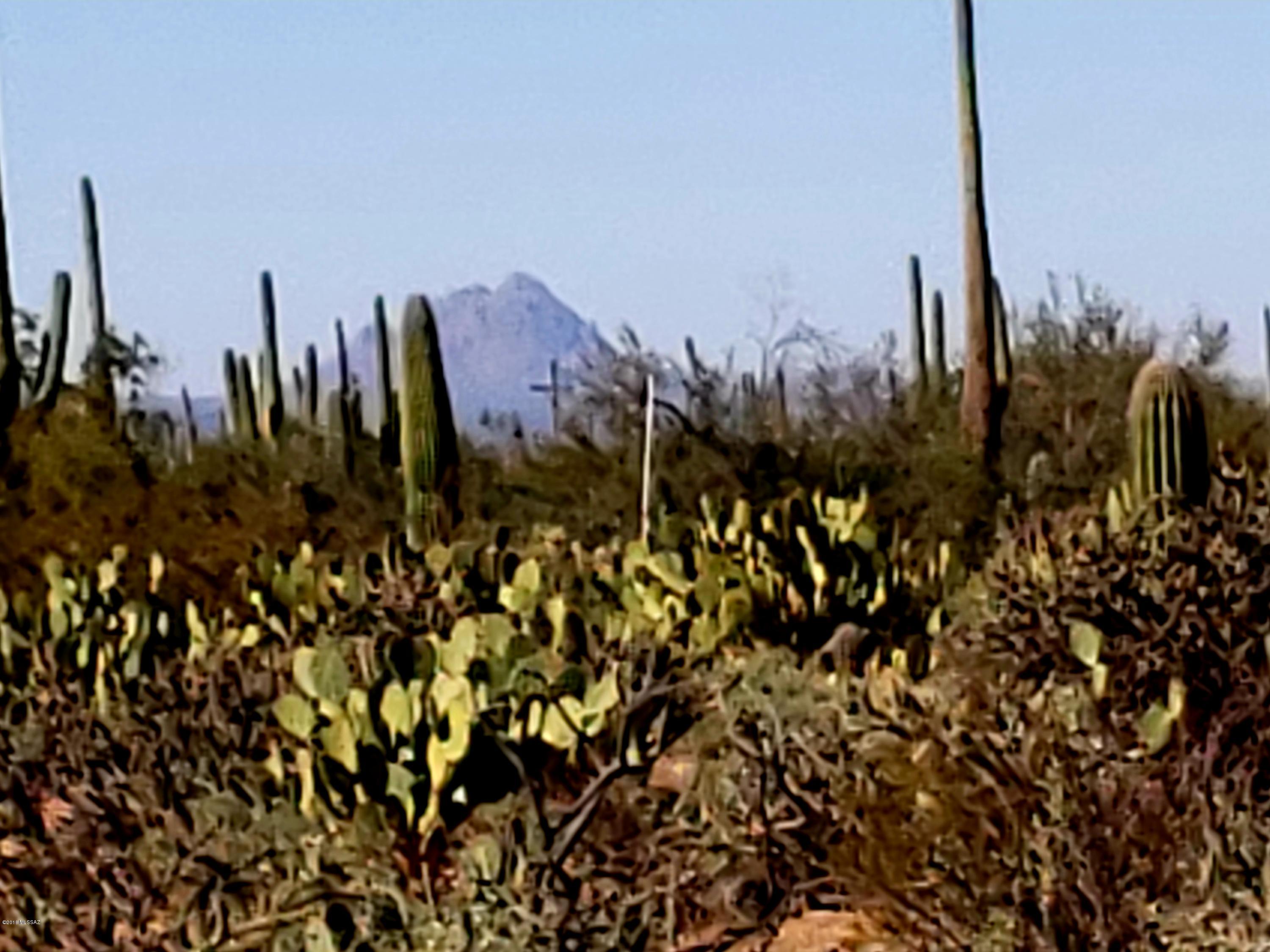 12200-blk West Fort Lowell Road Tucson, AZ 85743 - Photo 10 of 14