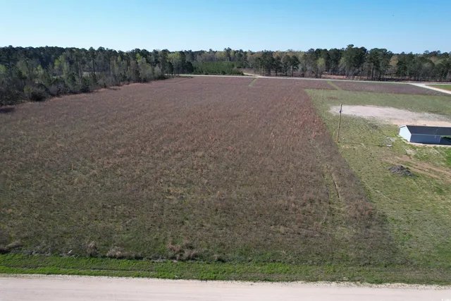 $48,000 | Lot 38 Gulley Lane, Salters, SC 29590