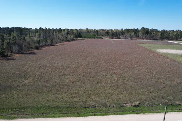 $48,000 | Lot 38 Gulley Lane, Salters, SC 29590