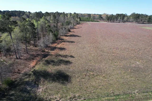 $48,000 | Lot 38 Gulley Lane, Salters, SC 29590