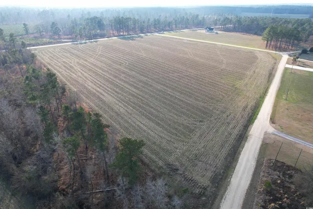 $48,000 | Lot 38 Gulley Lane, Salters, SC 29590