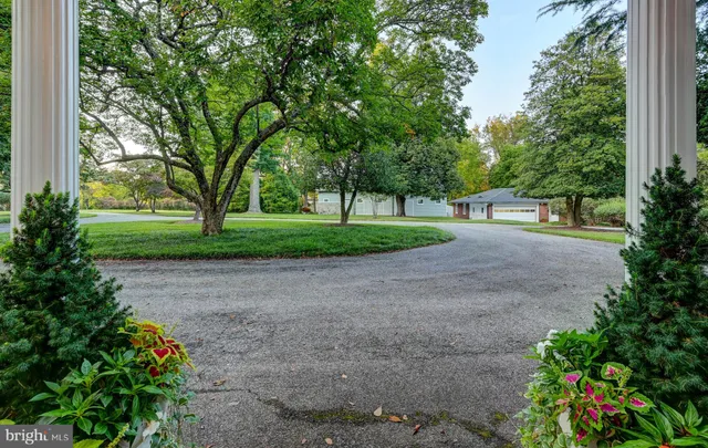 a view of a yard with plants and trees