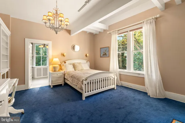 a path view of a house with plants