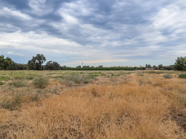 $1,300,000 | 0 East Carson Street, Colusa, CA 95932