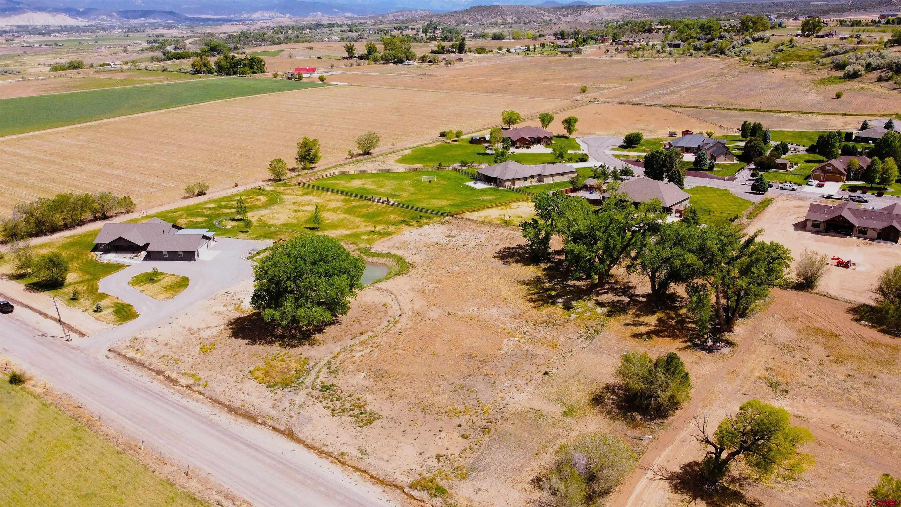 63242 Pearl Road Montrose, CO 81403 - Photo 5 of 14