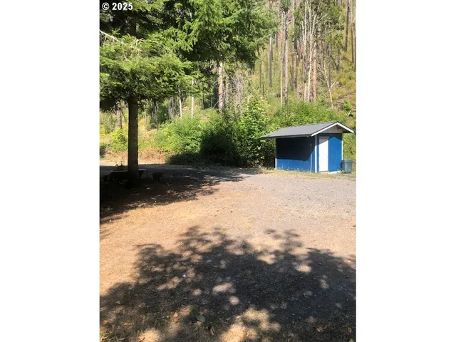 a view of a backyard with large trees