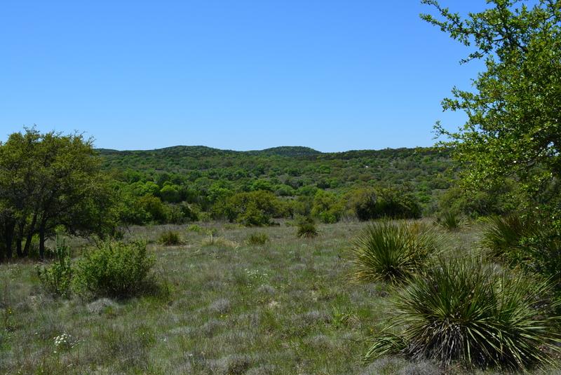 2058 Crabapple Road, Unit 18 Blanco, TX 78606 - Photo 1 of 1 Main View