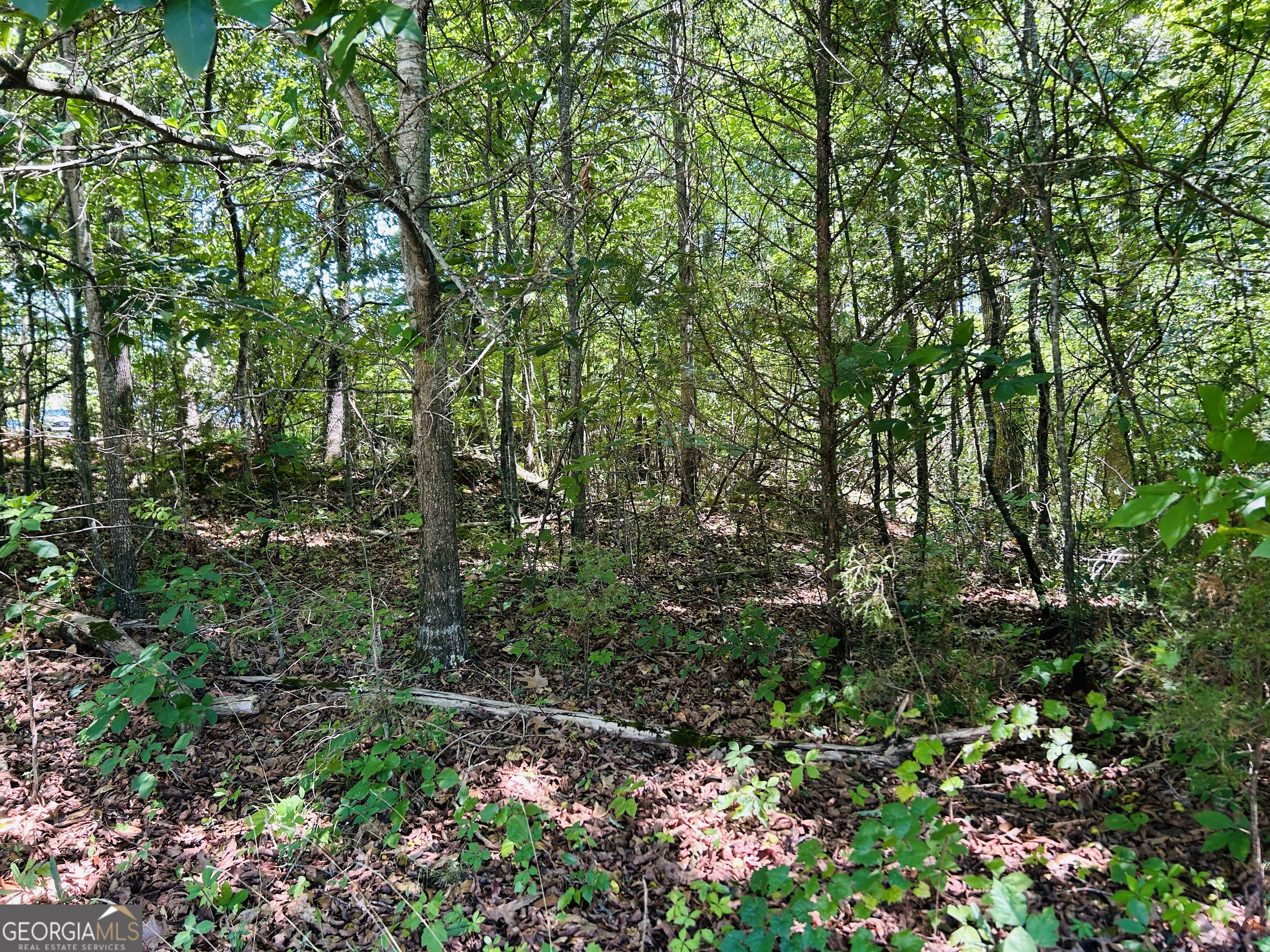 810 Austin Drive Demorest, GA 30535 - Photo 3 of 7