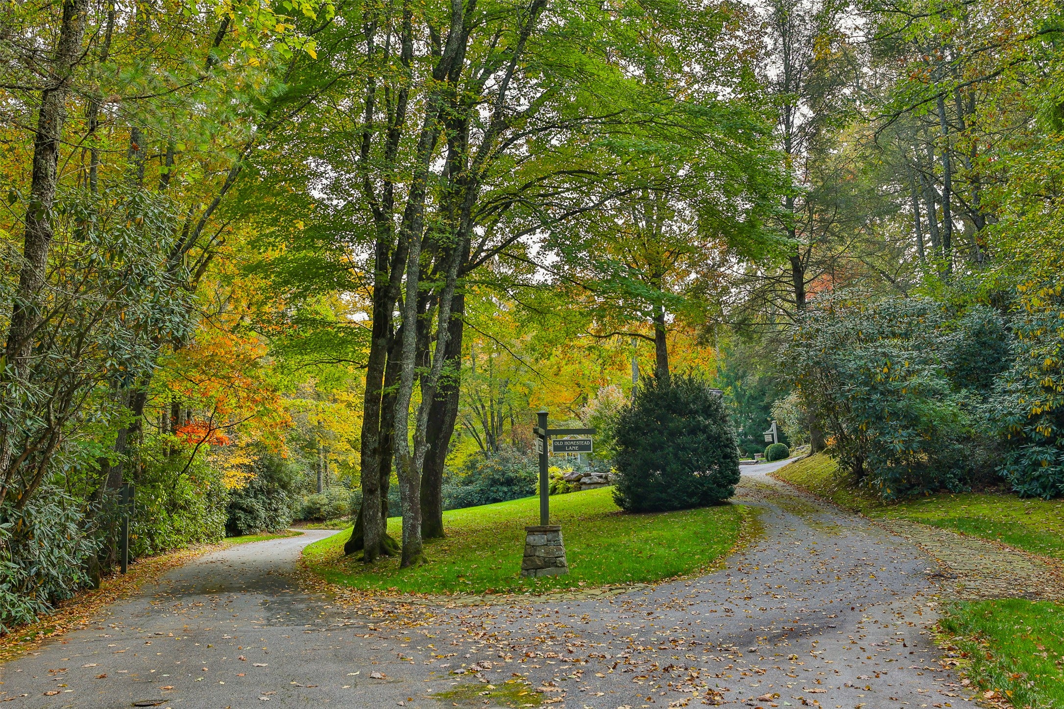124 Compass Rose Way Cullowhee, NC 28723 - Photo 42 of 55 Gallery Image 42