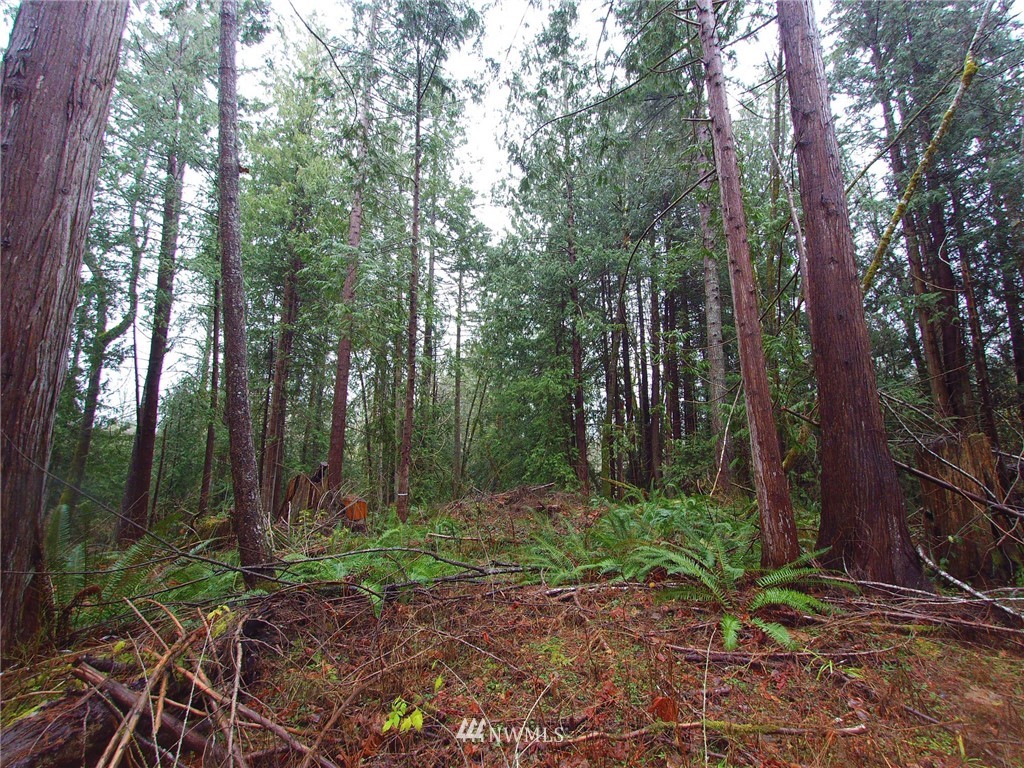 681 Karpen Road Port Angeles, WA 98363 - Photo 3 of 25 Gallery Image 3