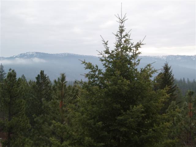 Xx Xx Stonebrook Way Springdale, WA 99173 - Photo 2 of 9