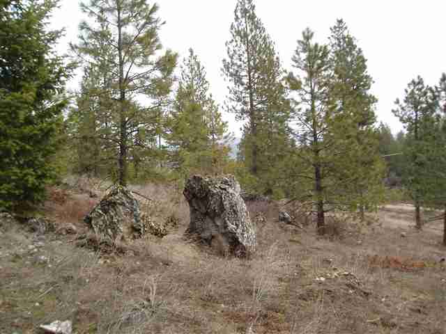 Xx Xx Stonebrook Way Springdale, WA 99173 - Photo 3 of 9