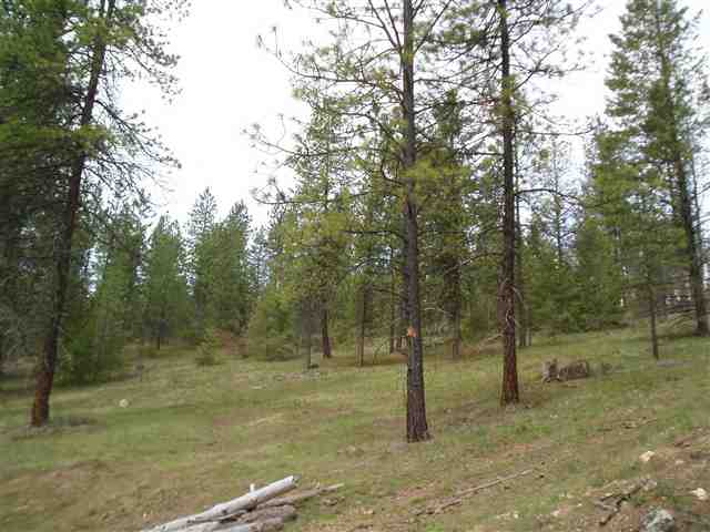 Xx Xx Stonebrook Way Springdale, WA 99173 - Photo 5 of 9
