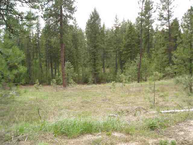 Xx Xx Stonebrook Way Springdale, WA 99173 - Photo 6 of 9