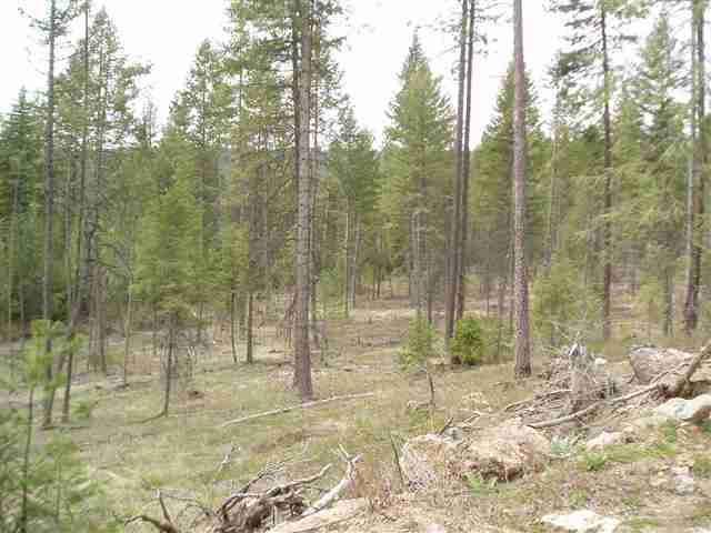 Xx Xx Stonebrook Way Springdale, WA 99173 - Photo 7 of 9